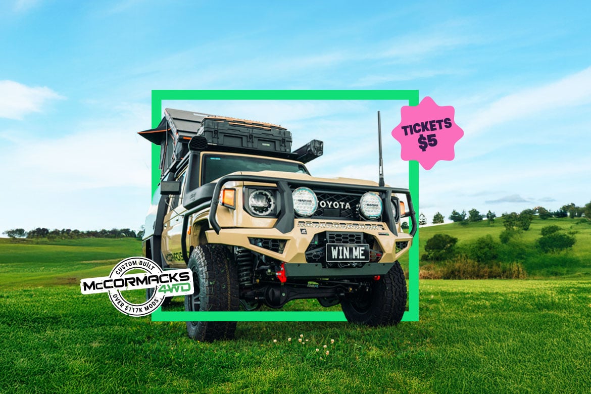 V8 LandCruiser, Gold, or Travel