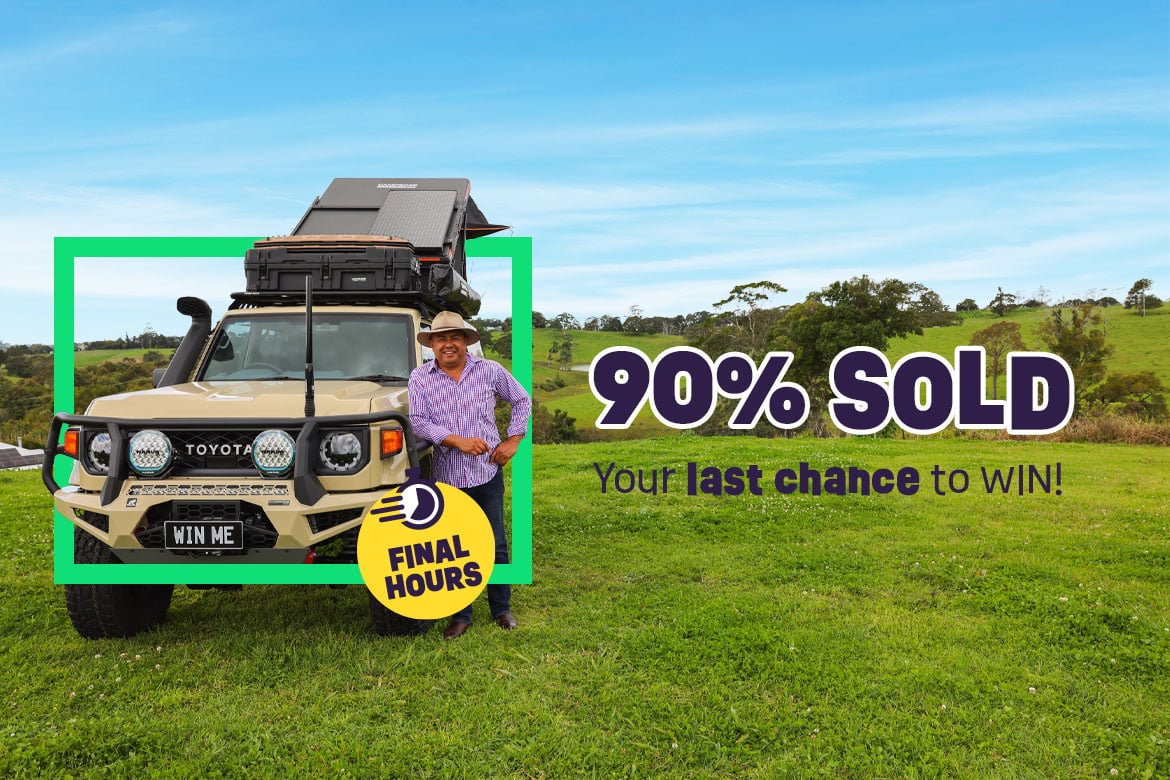 V8 LandCruiser, Gold, or Travel  