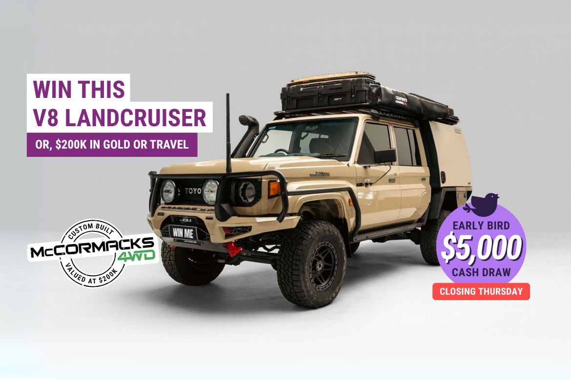 V8 LandCruiser, Gold, or Travel  