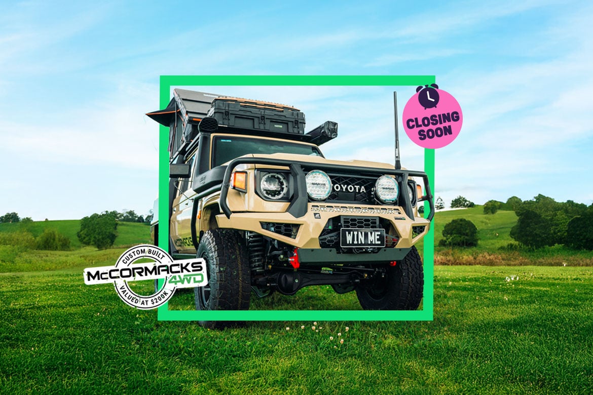 V8 LandCruiser, Gold, or Travel