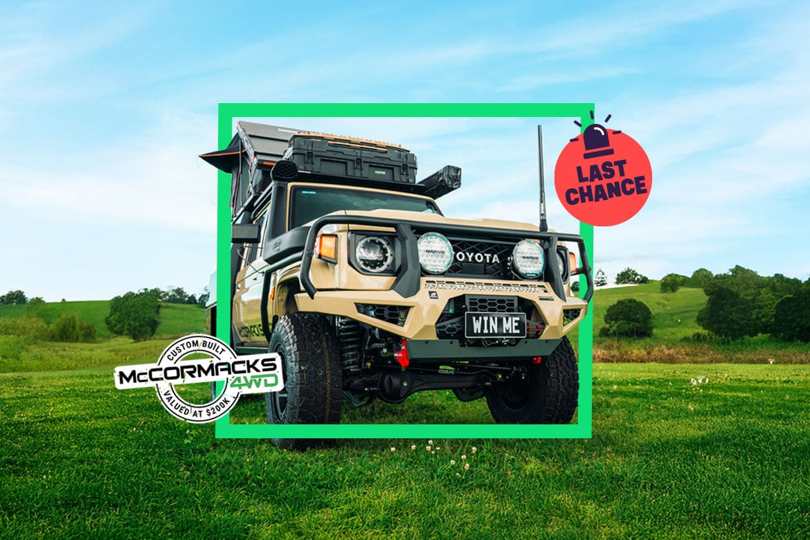 V8 LandCruiser, Gold, or Travel  