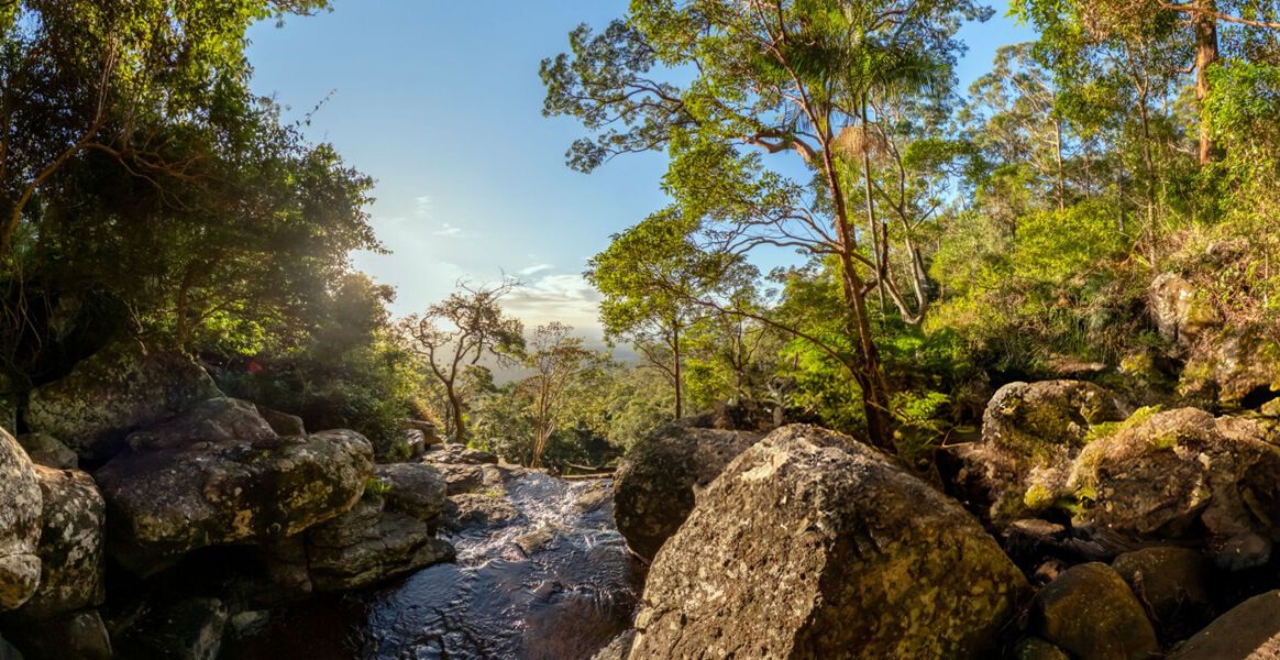 459 Tamborine Curtis Falls 1164x600