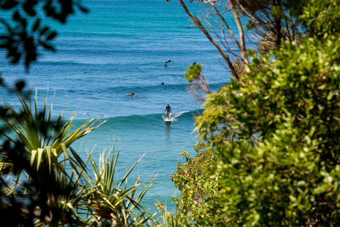 Noosa Surfing