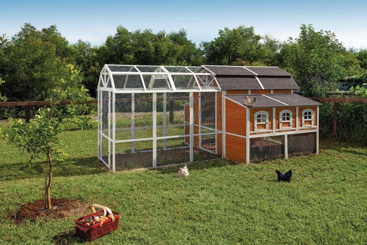 Prize Home Chicken coop