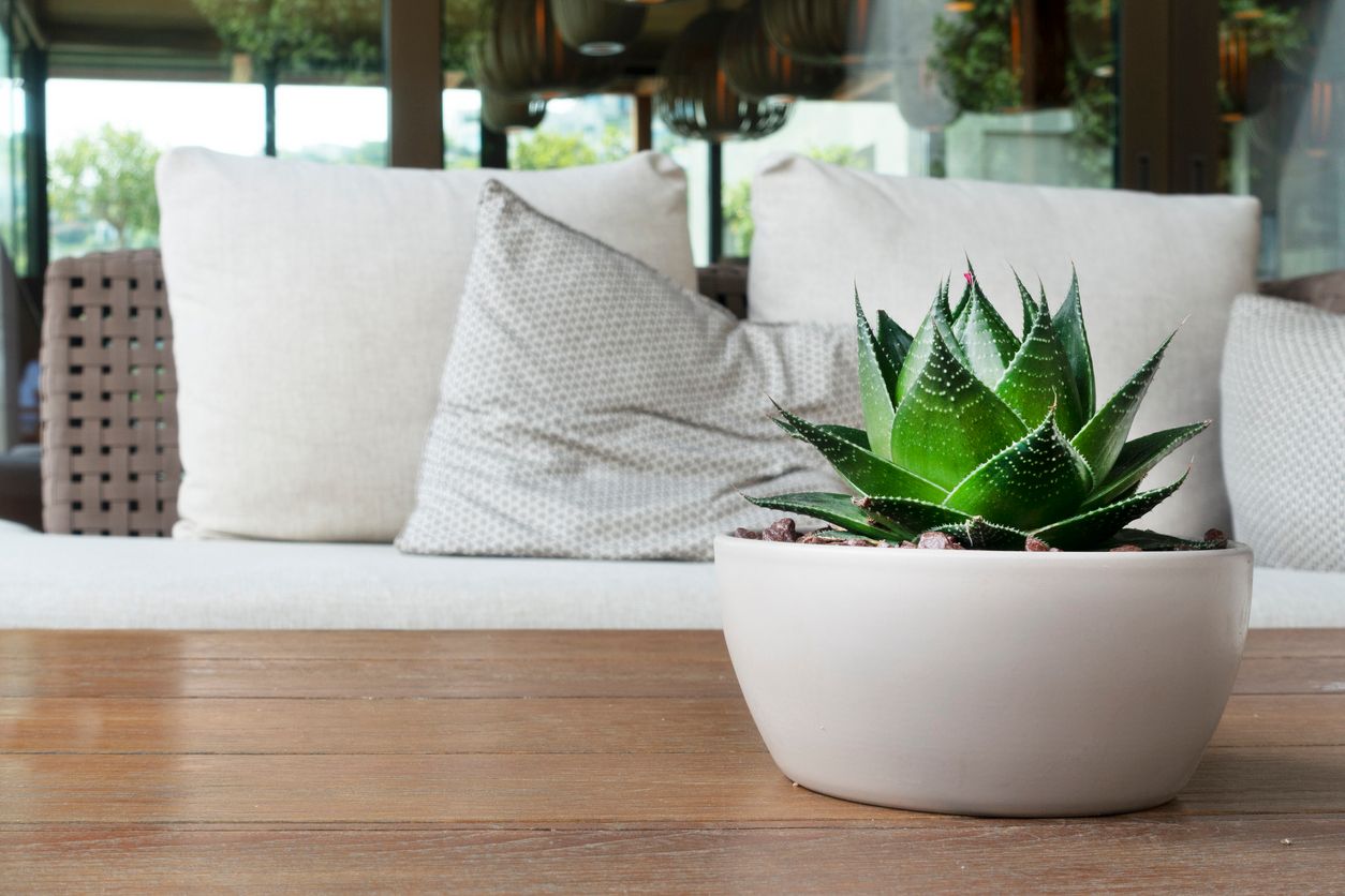 Bring Good Vibes to Your Home With Feng Shui