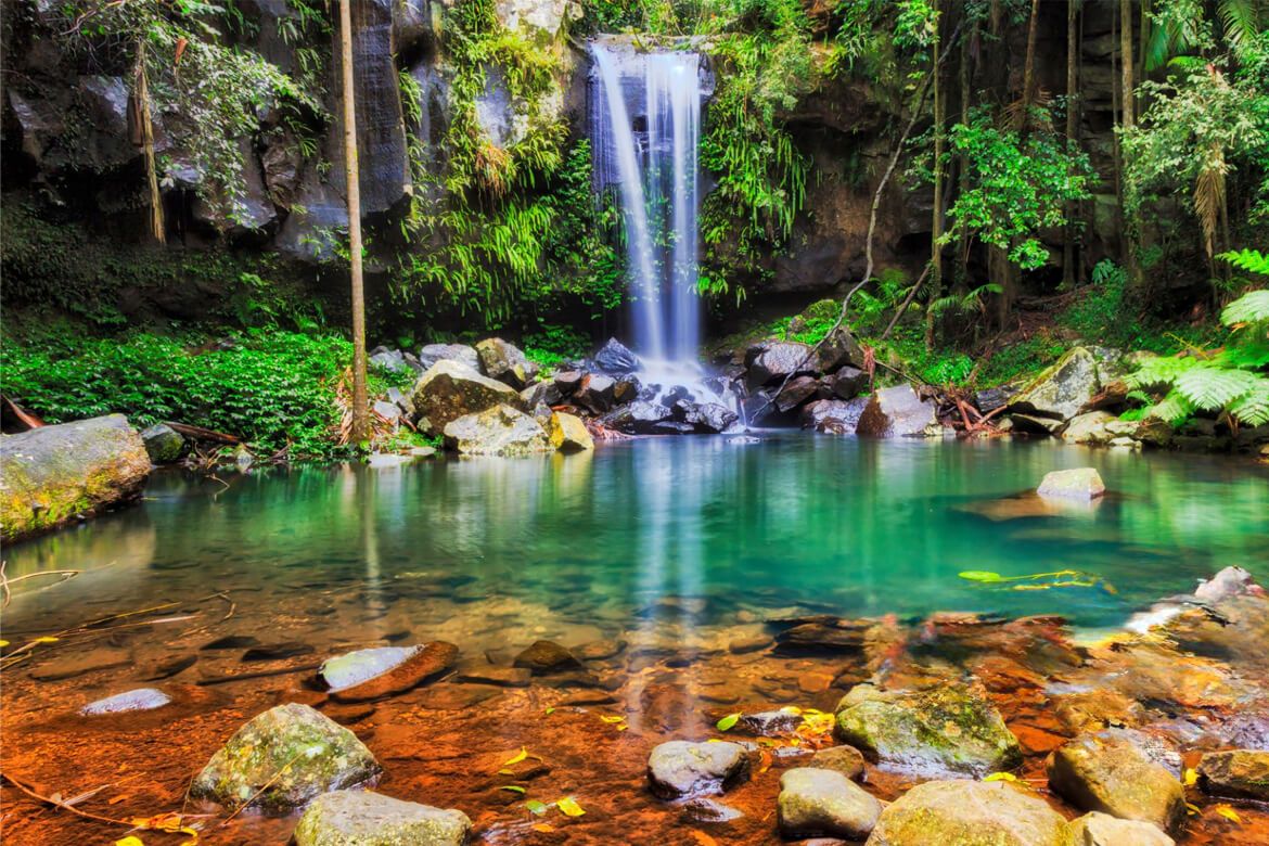 459 Tamborine Curtis Falls