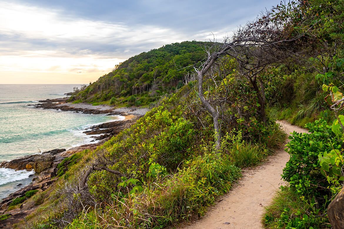 Noosa Beach Walk