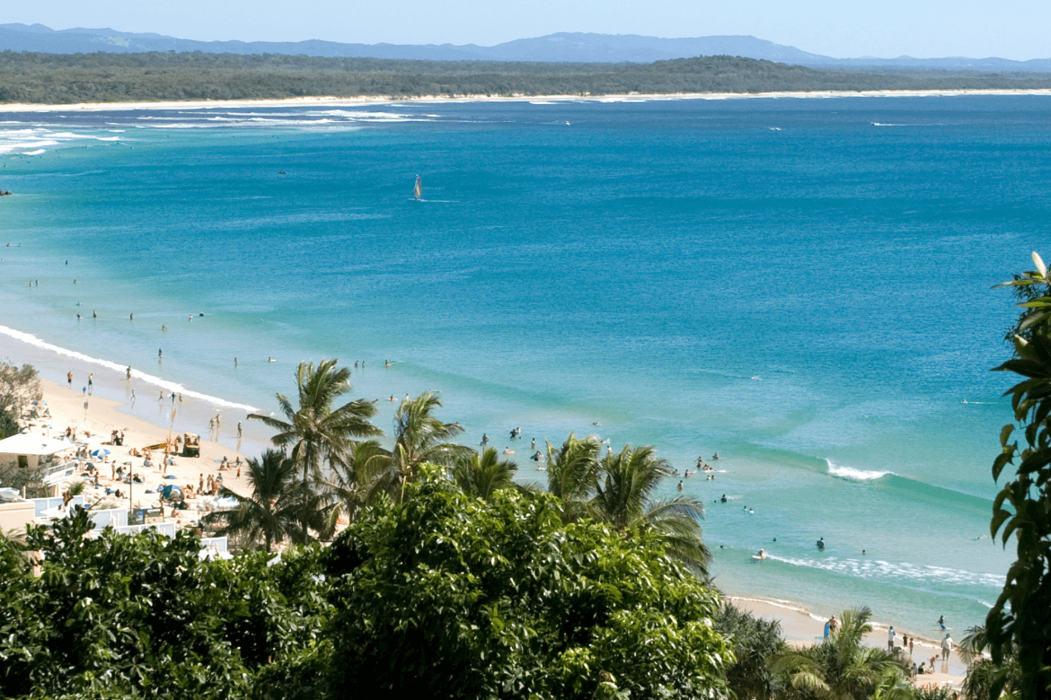 Sun-soaked Noosa Main Beach filled with swimmers enjoying the waves and a few trees providing shade nearby