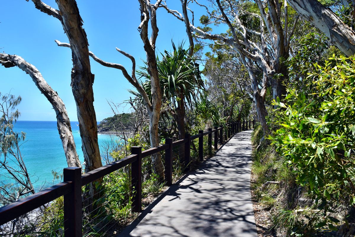 Coastal Track in Noosa National Park is wheelchair-accessible