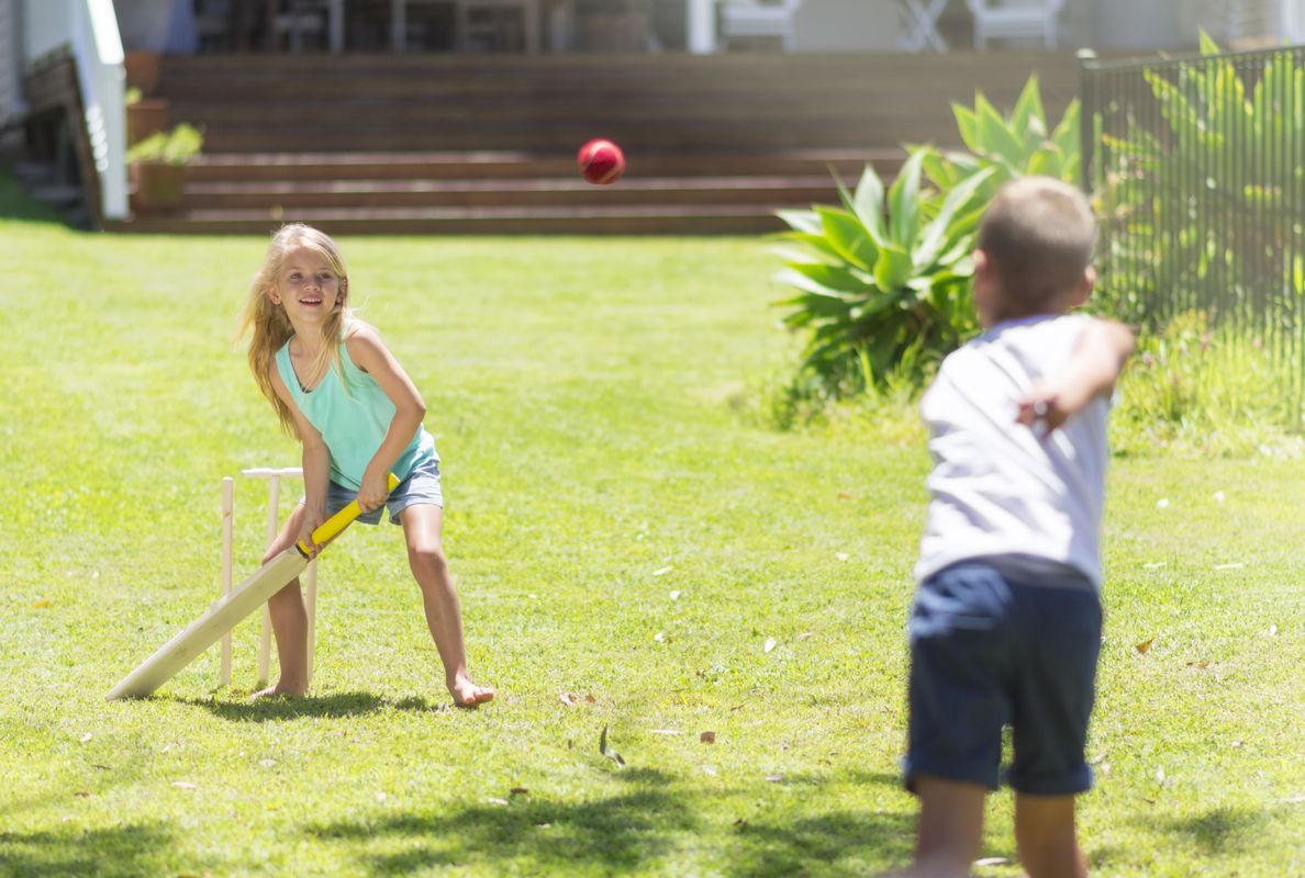 backyard cricket play
