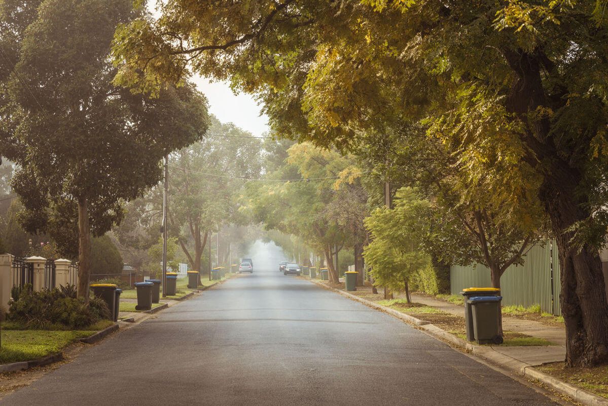 Buderim tree lined streets Sunshine Coast